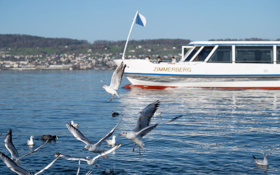 Wädenswil, die schöne Stadt am Zürichsee